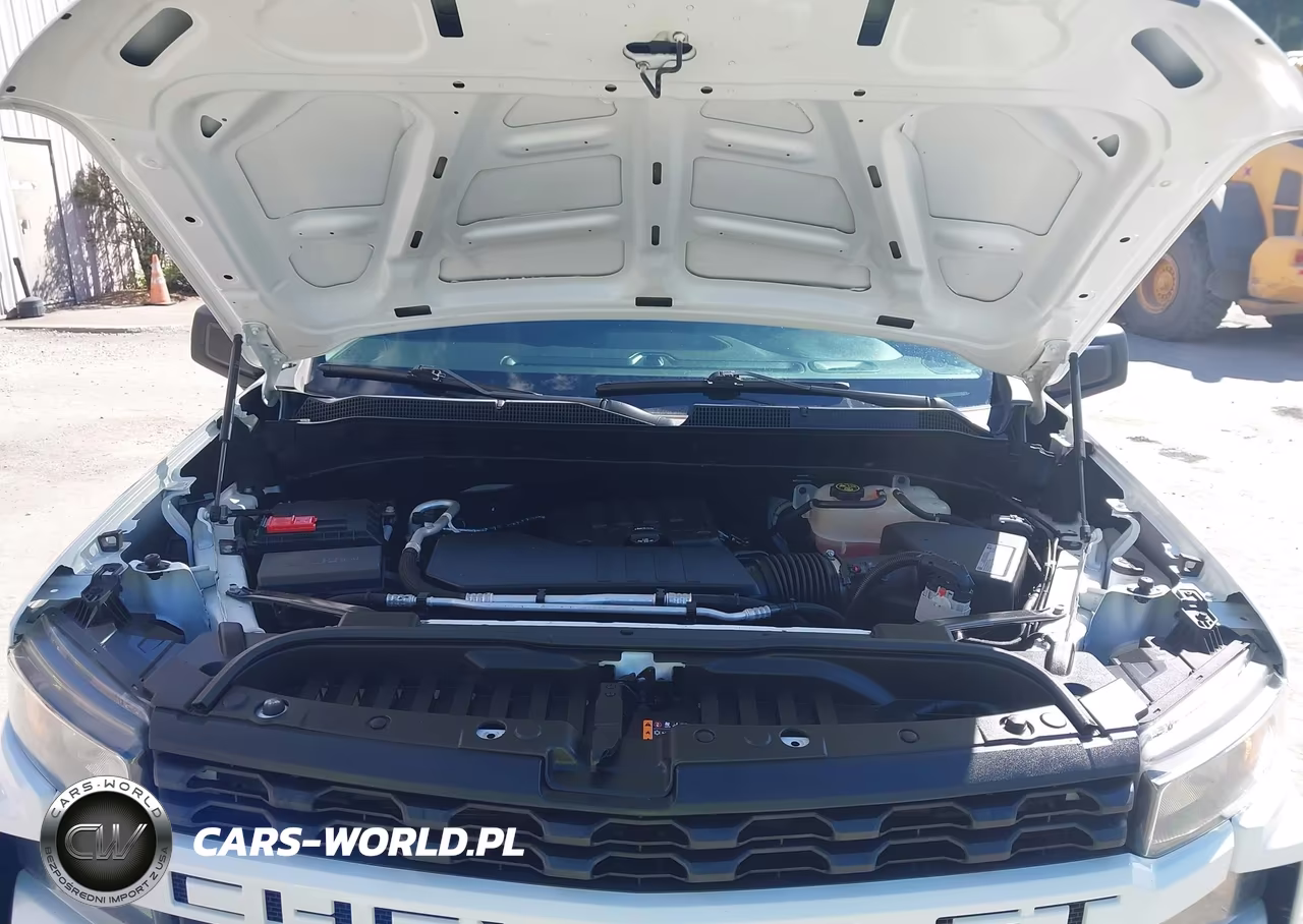 2021 Chevrolet Silverado K1500 Custom VIN:3GCPYBEK7MG256263 - 10