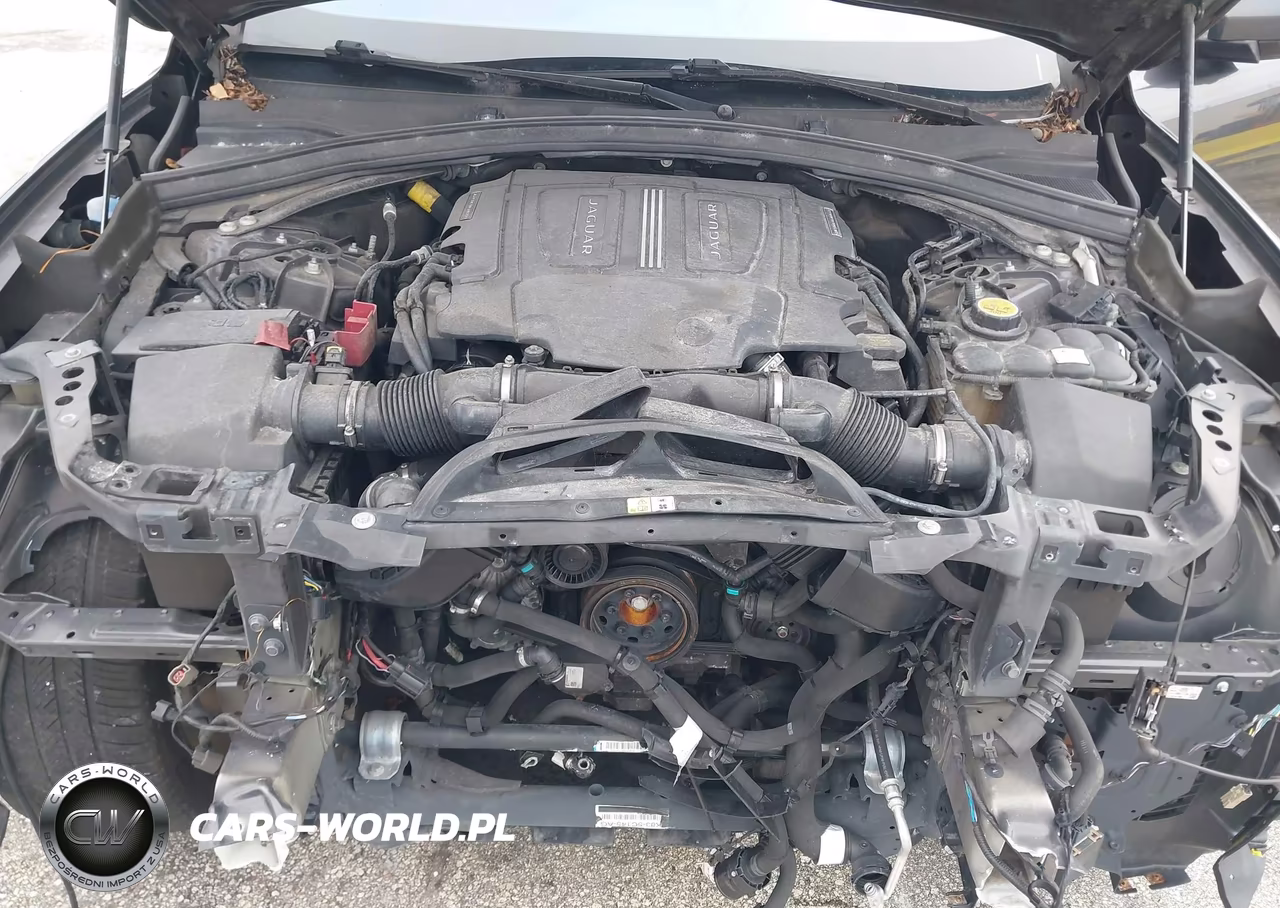 2019 Jaguar F-Pace S VIN:SADCM2FV5KA609568 - 10