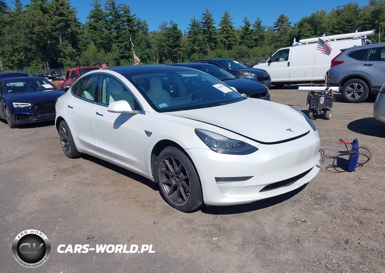 2019 Tesla Model 3 Long Range-Mid Range-Standard Range-Standard Range Plus VIN:5YJ3E1EA6KF332549 - 1