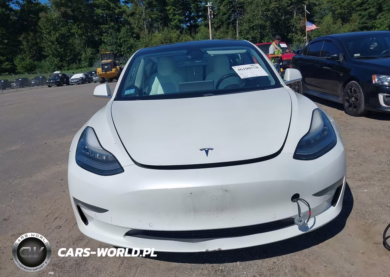 2019 Tesla Model 3 Long Range-Mid Range-Standard Range-Standard Range Plus VIN:5YJ3E1EA6KF332549 - 12