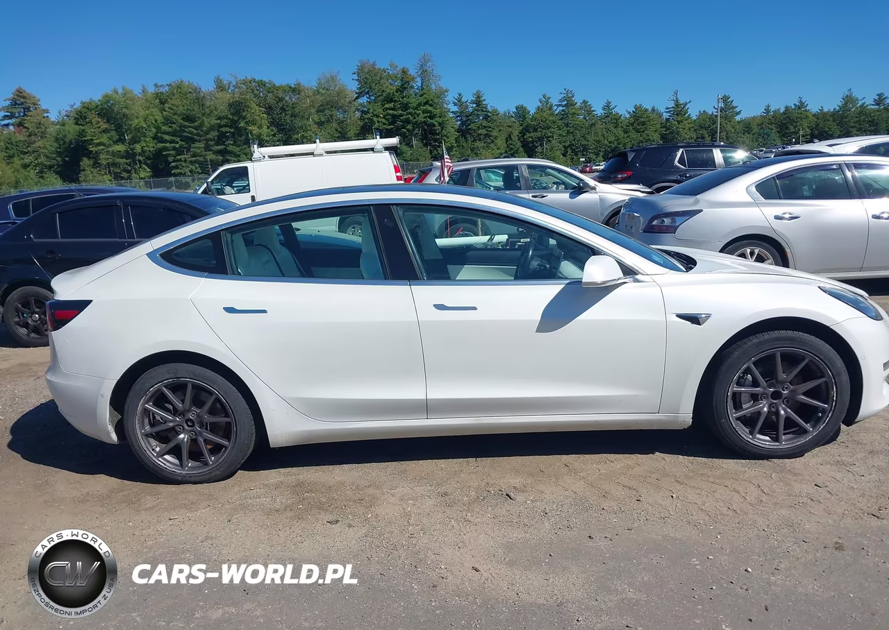 2019 Tesla Model 3 Long Range-Mid Range-Standard Range-Standard Range Plus VIN:5YJ3E1EA6KF332549 - 13