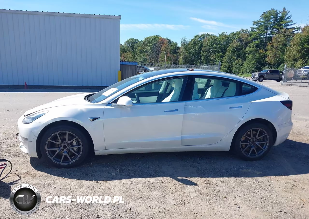2019 Tesla Model 3 Long Range-Mid Range-Standard Range-Standard Range Plus VIN:5YJ3E1EA6KF332549 - 14
