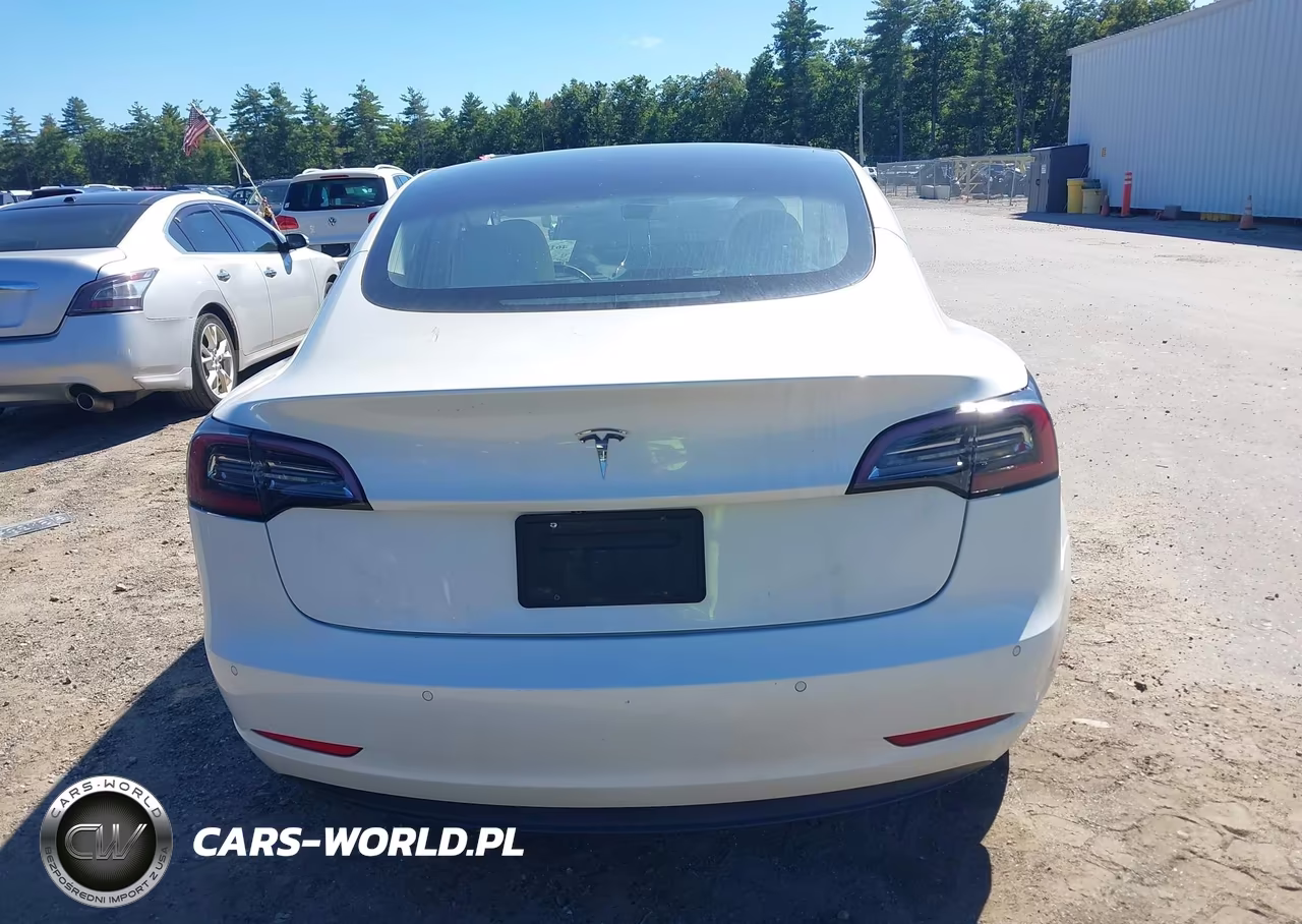 2019 Tesla Model 3 Long Range-Mid Range-Standard Range-Standard Range Plus VIN:5YJ3E1EA6KF332549 - 16