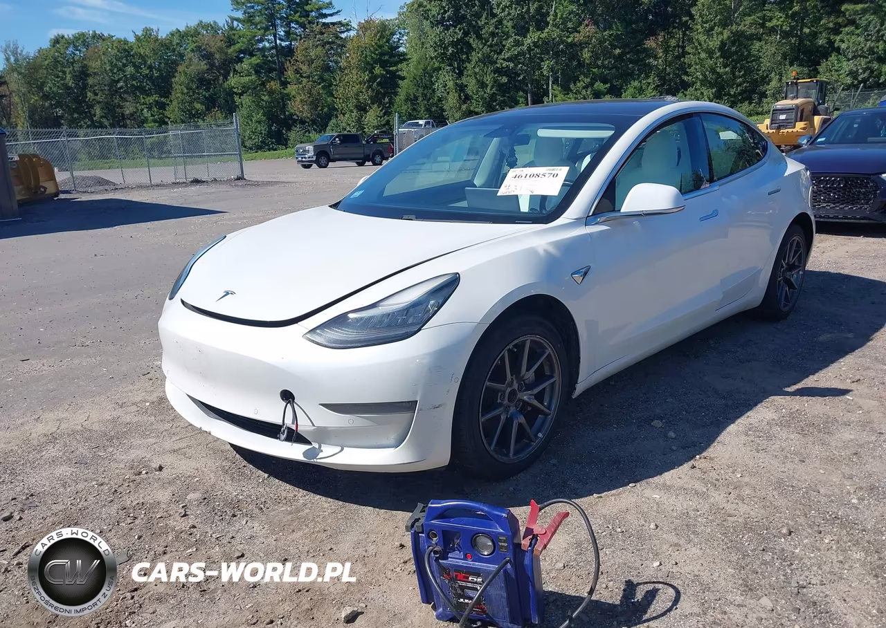2019 Tesla Model 3 Long Range-Mid Range-Standard Range-Standard Range Plus VIN:5YJ3E1EA6KF332549 - 2