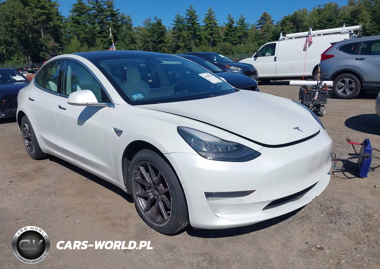 2019 Tesla Model 3 Long Range-Mid Range-Standard Range-Standard Range Plus VIN:5YJ3E1EA6KF332549 - 20