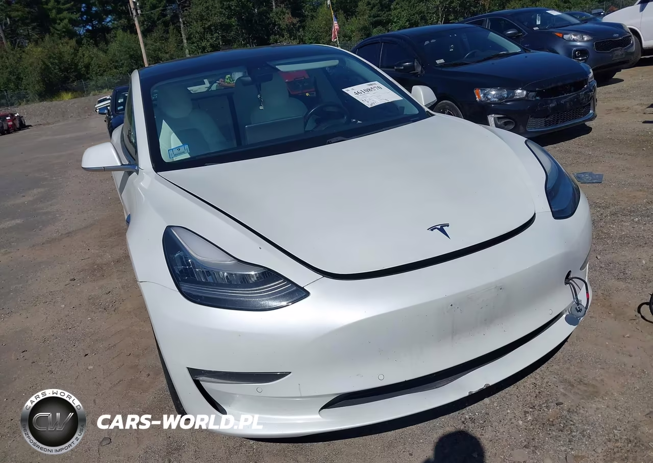 2019 Tesla Model 3 Long Range-Mid Range-Standard Range-Standard Range Plus VIN:5YJ3E1EA6KF332549 - 21