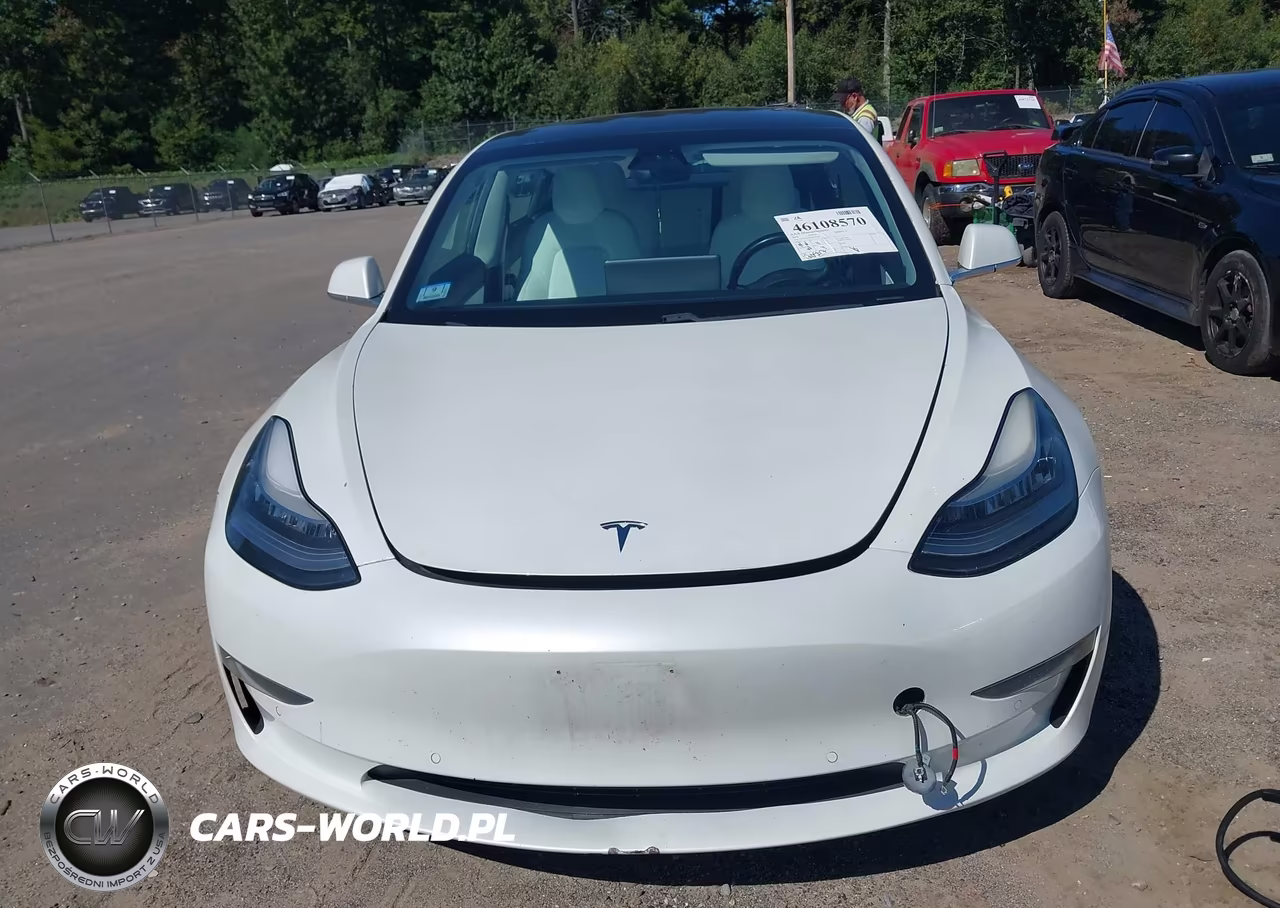 2019 Tesla Model 3 Long Range-Mid Range-Standard Range-Standard Range Plus VIN:5YJ3E1EA6KF332549 - 22