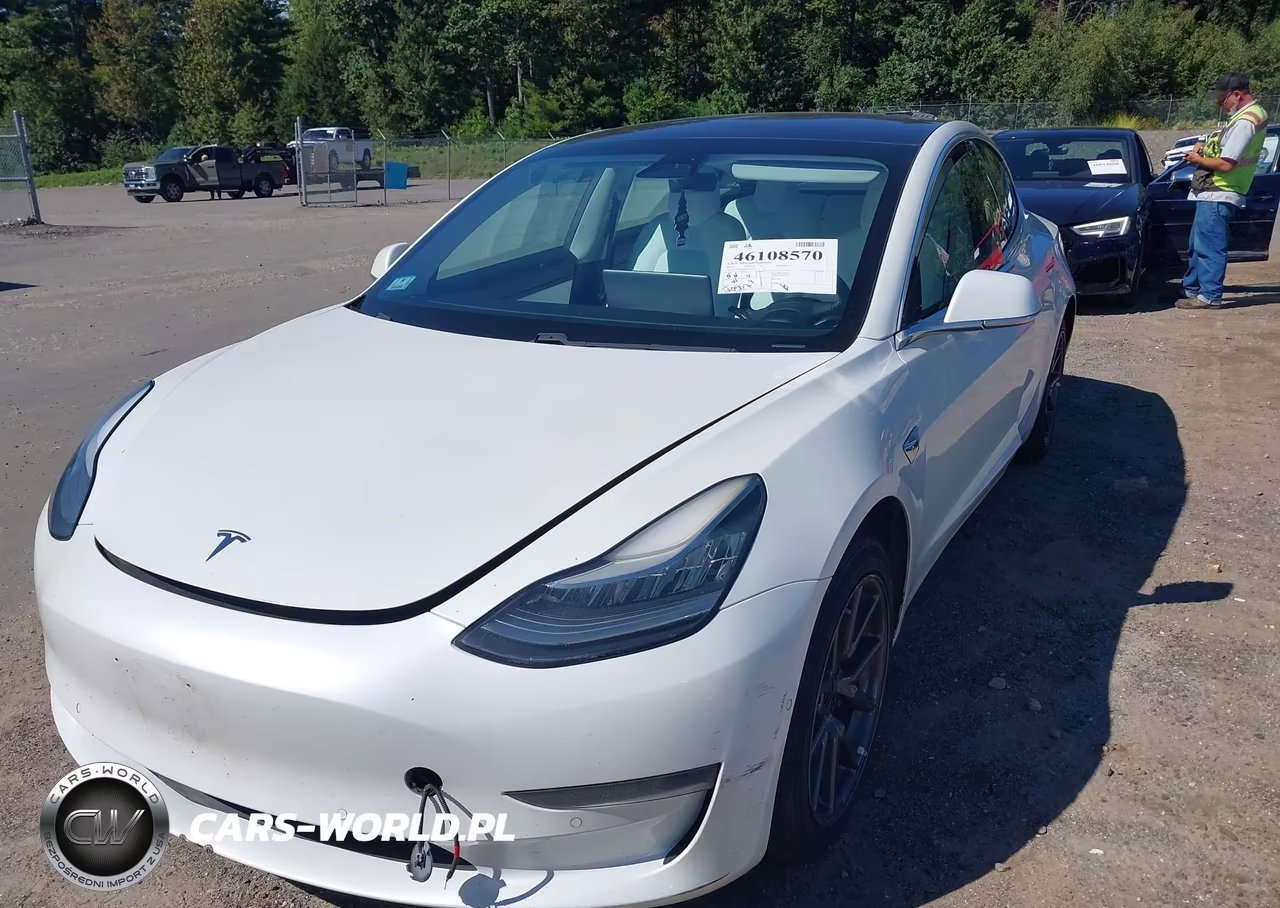 2019 Tesla Model 3 Long Range-Mid Range-Standard Range-Standard Range Plus VIN:5YJ3E1EA6KF332549 - 23