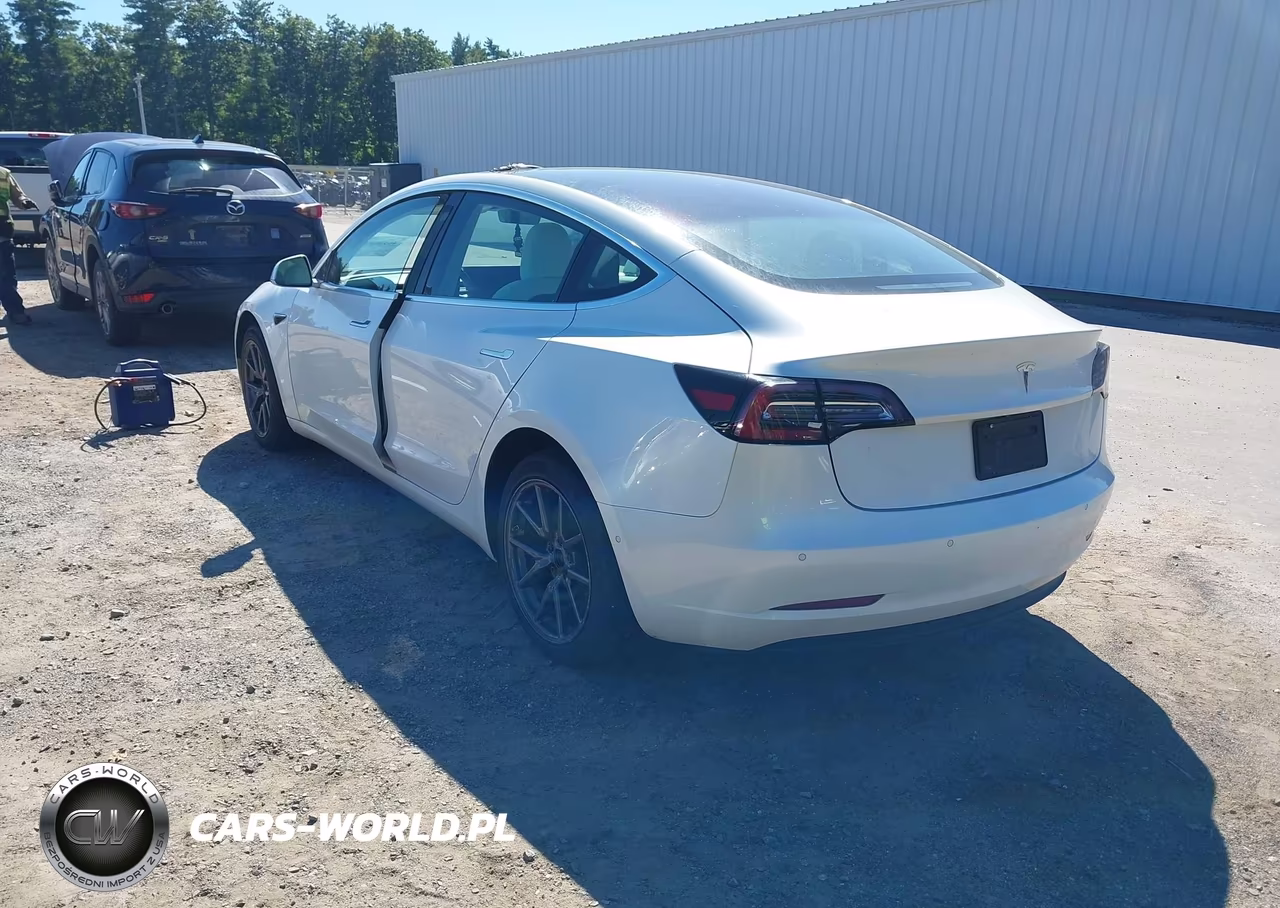 2019 Tesla Model 3 Long Range-Mid Range-Standard Range-Standard Range Plus VIN:5YJ3E1EA6KF332549 - 3