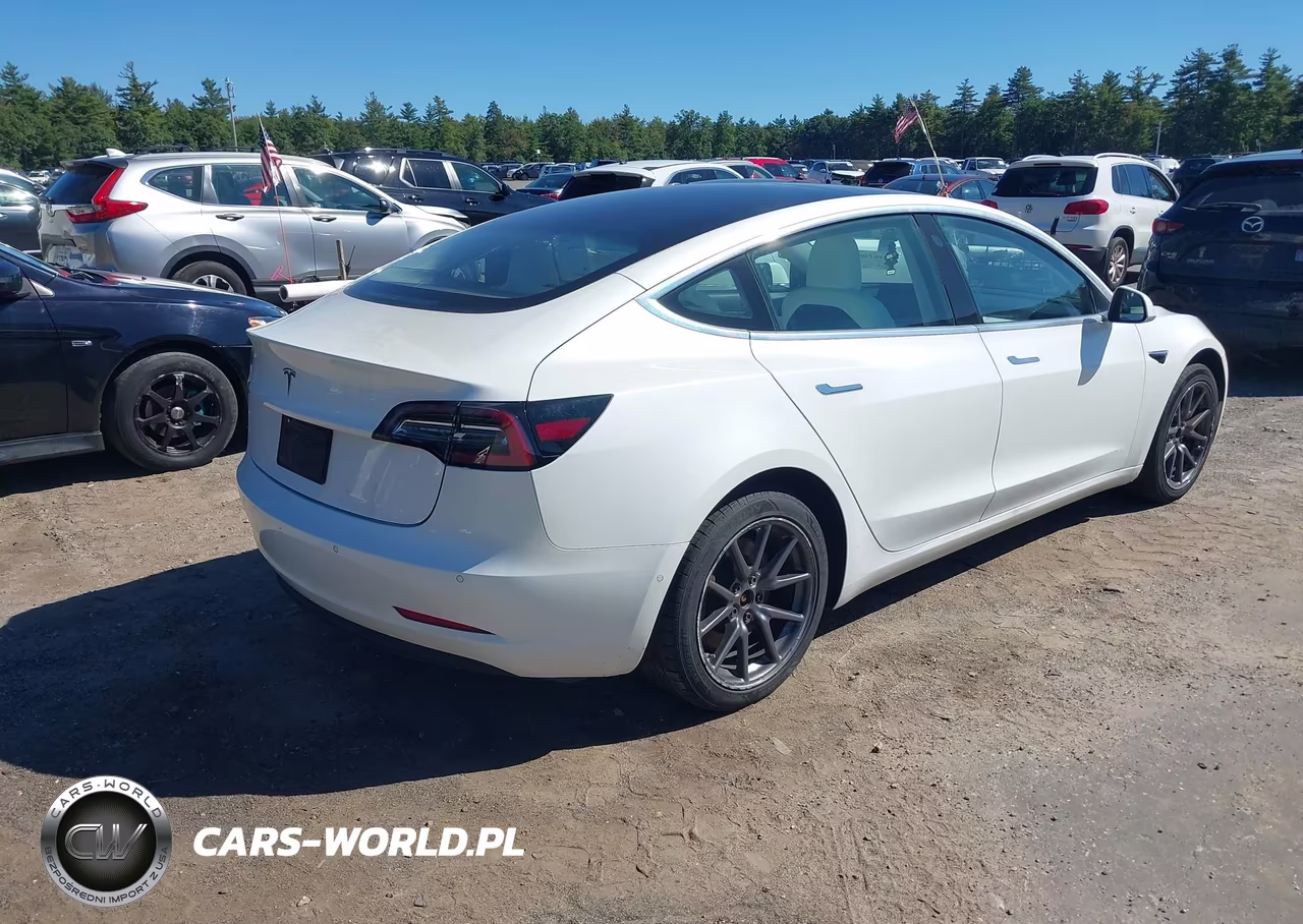 2019 Tesla Model 3 Long Range-Mid Range-Standard Range-Standard Range Plus VIN:5YJ3E1EA6KF332549 - 4
