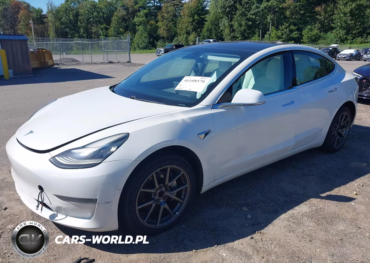 2019 Tesla Model 3 Long Range-Mid Range-Standard Range-Standard Range Plus VIN:5YJ3E1EA6KF332549 - 6