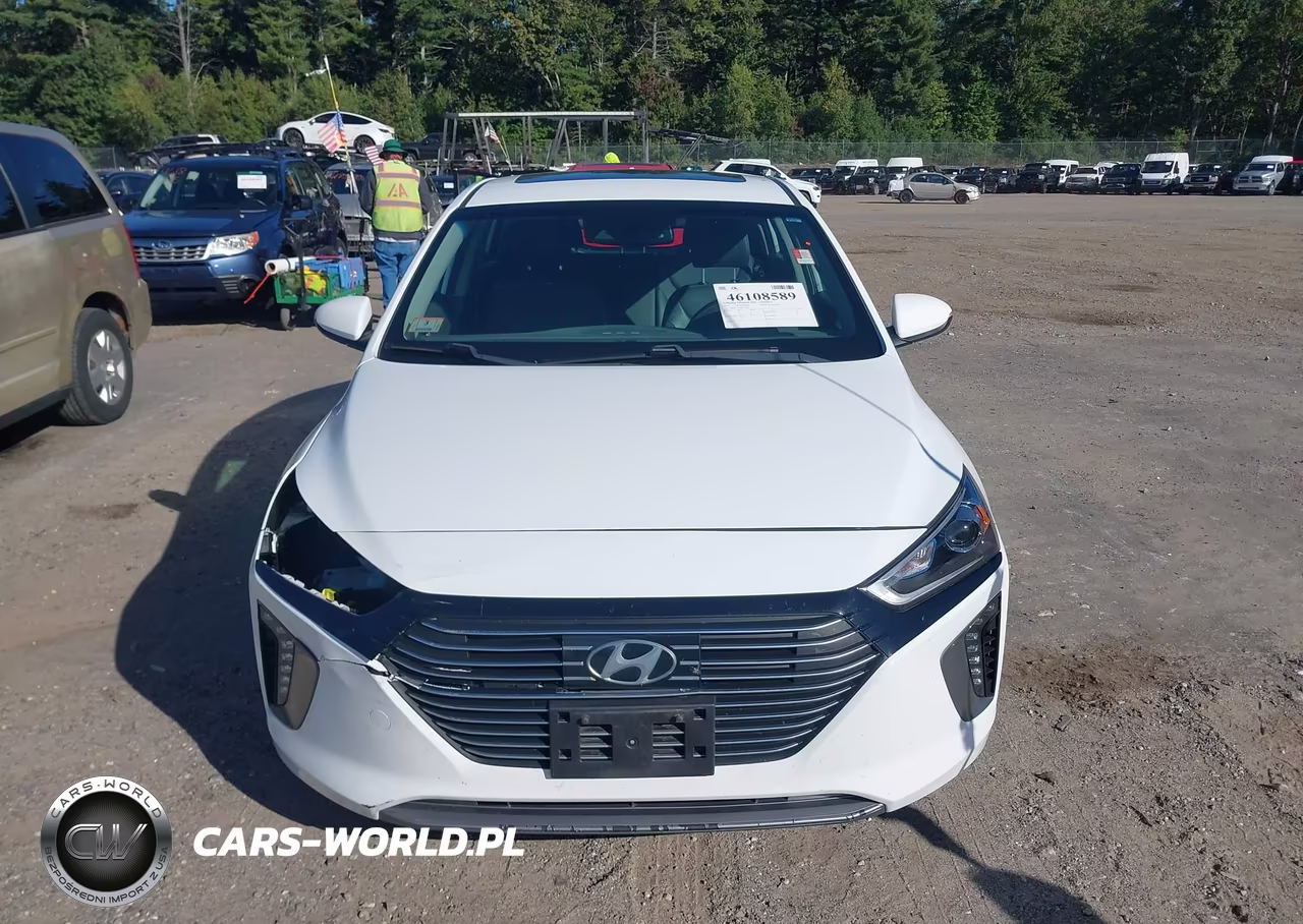 2019 Hyundai Ioniq Plug-In Hybrid Limited VIN:KMHC75LD0KU165851 - 13