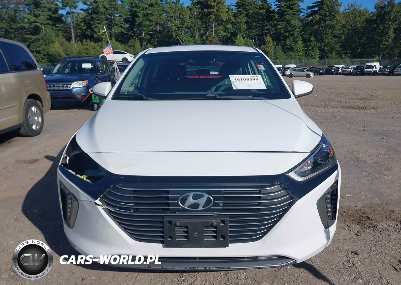 2019 Hyundai Ioniq Plug-In Hybrid Limited VIN:KMHC75LD0KU165851 - 6