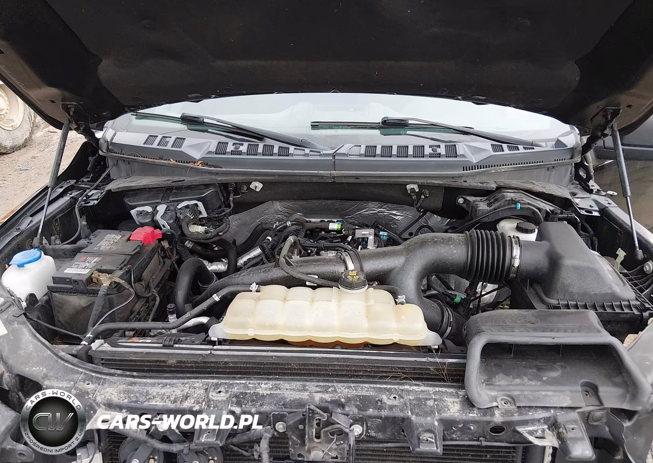 2019 Ford F-150 Xlt VIN:1FTEW1EP4KFC44931 - 10