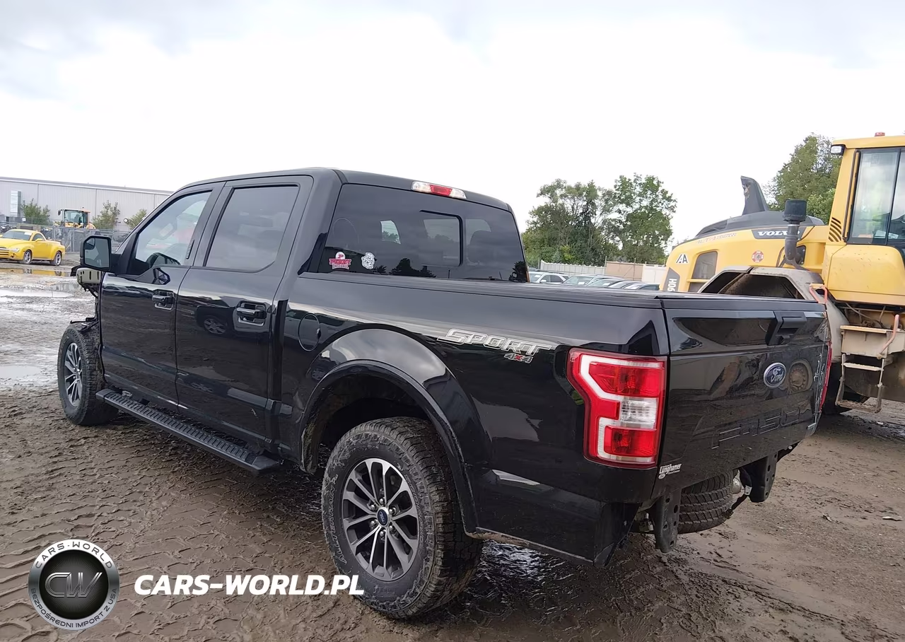 2019 Ford F-150 Xlt VIN:1FTEW1EP4KFC44931 - 3