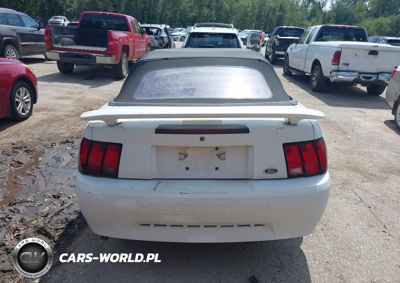 2004 Ford Mustang VIN:1FAFP44684F134002 - 17