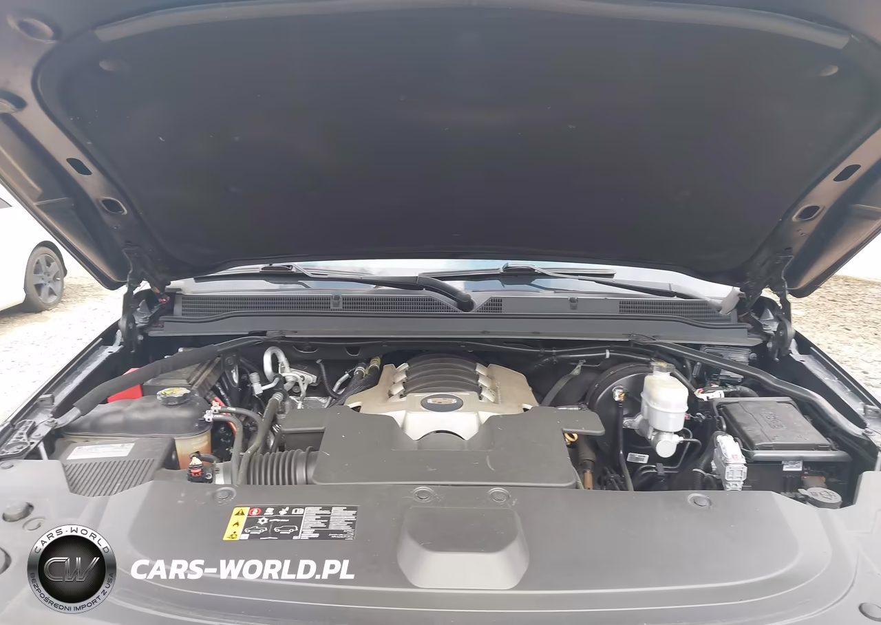 2019 Cadillac Escalade Esv Platinum VIN:1GYS4KKJ2KR379932 - 10