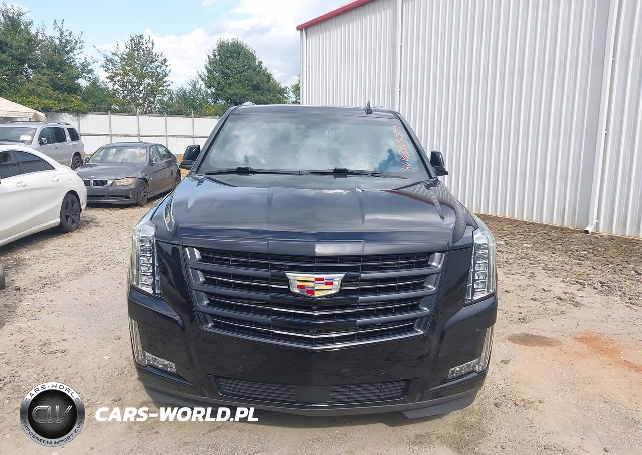 2019 Cadillac Escalade Esv Platinum VIN:1GYS4KKJ2KR379932 - 12