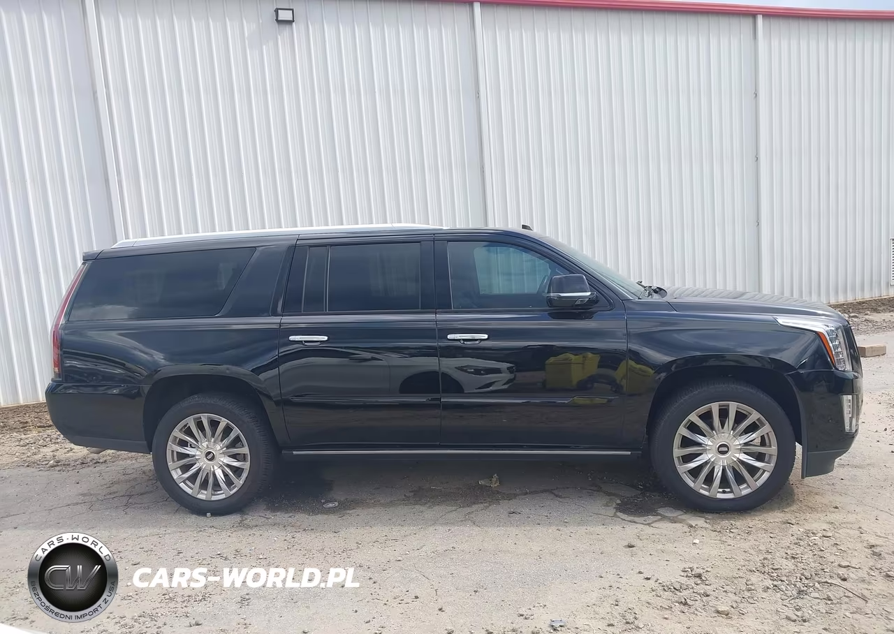 2019 Cadillac Escalade Esv Platinum VIN:1GYS4KKJ2KR379932 - 13