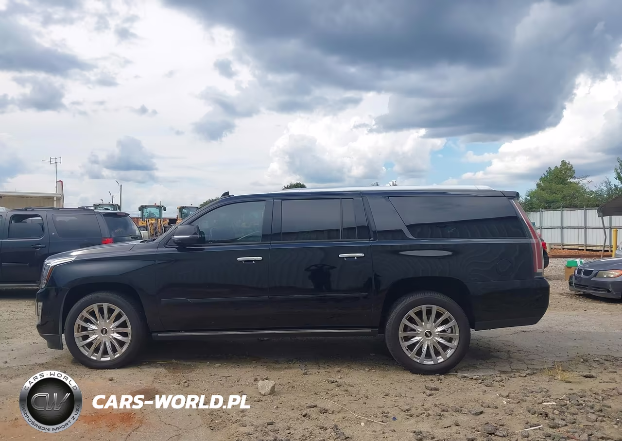 2019 Cadillac Escalade Esv Platinum VIN:1GYS4KKJ2KR379932 - 14