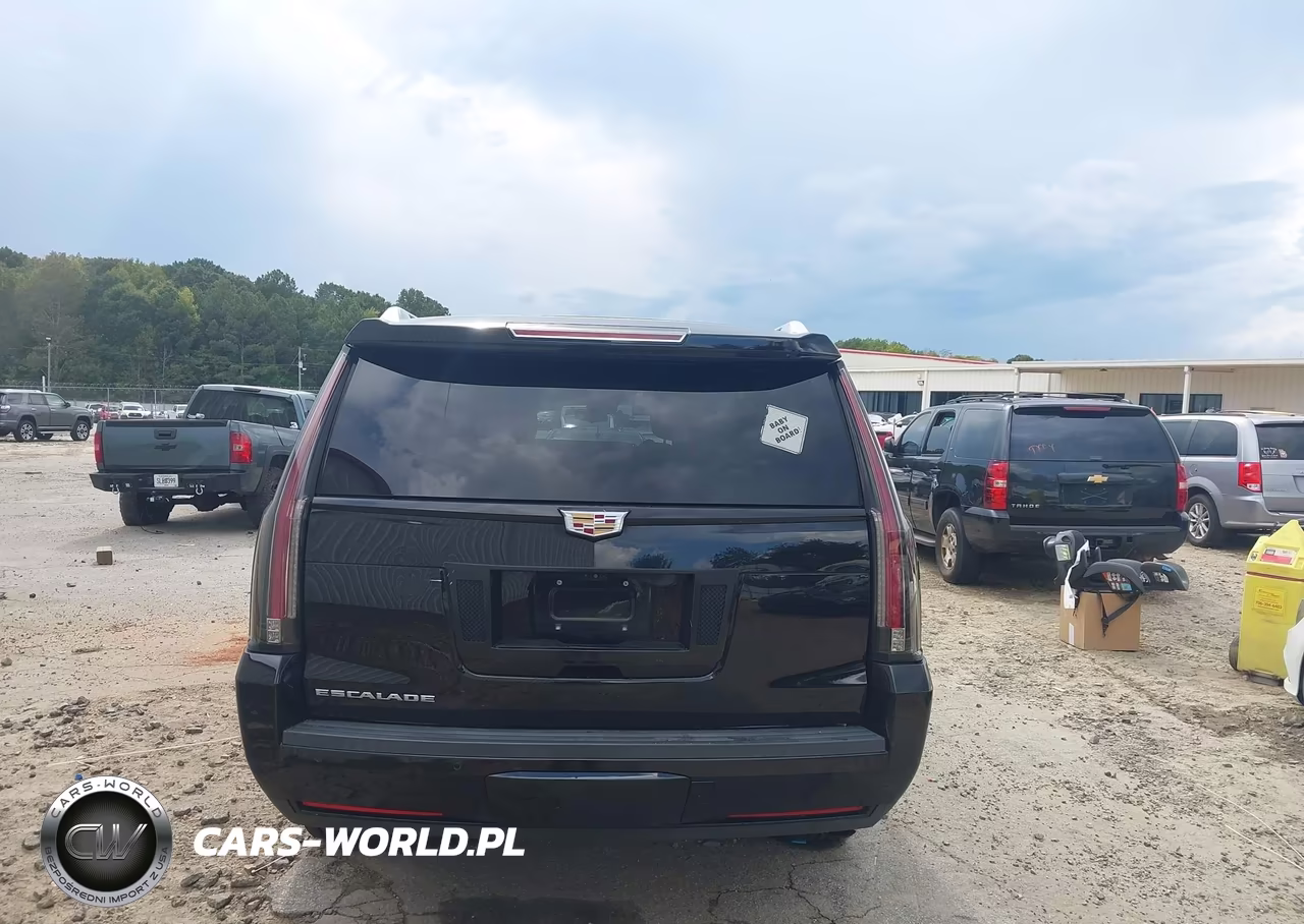 2019 Cadillac Escalade Esv Platinum VIN:1GYS4KKJ2KR379932 - 16