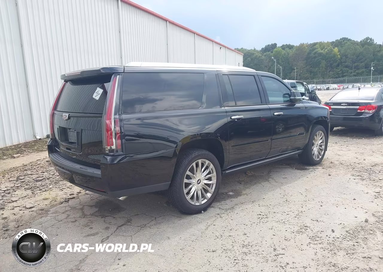 2019 Cadillac Escalade Esv Platinum VIN:1GYS4KKJ2KR379932 - 4