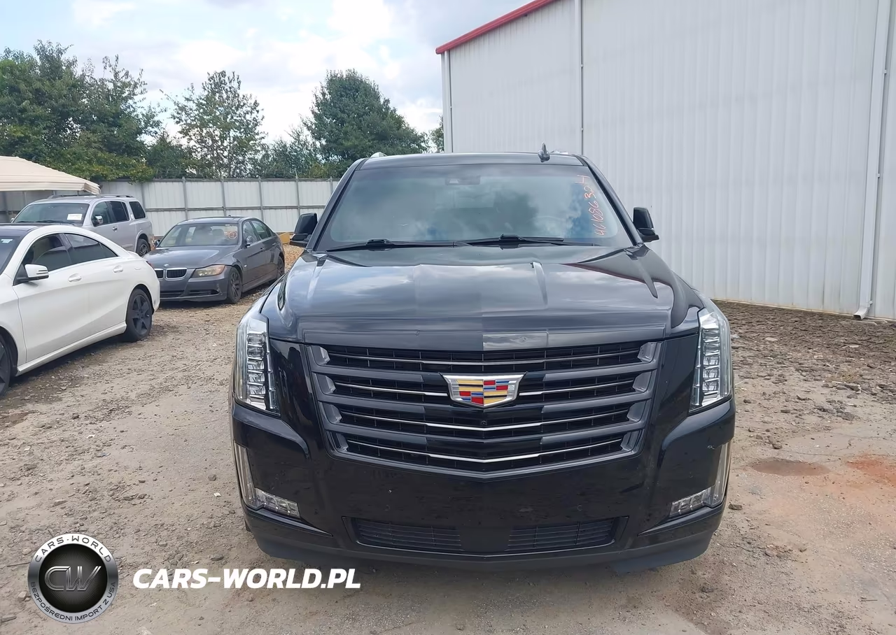 2019 Cadillac Escalade Esv Platinum VIN:1GYS4KKJ2KR379932 - 6