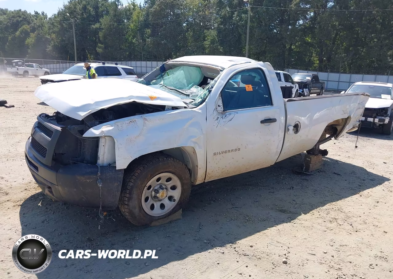2012 Chevrolet Silverado 1500 Work Truck VIN:1GCNKPE00CZ218019 - 2