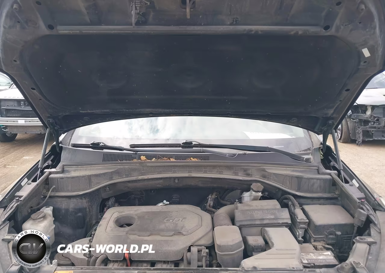 2017 Hyundai Santa Fe Sport 2.4L VIN:5XYZUDLB1HG485433 - 10