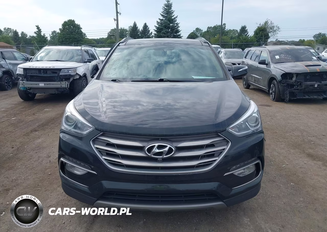 2017 Hyundai Santa Fe Sport 2.4L VIN:5XYZUDLB1HG485433 - 12