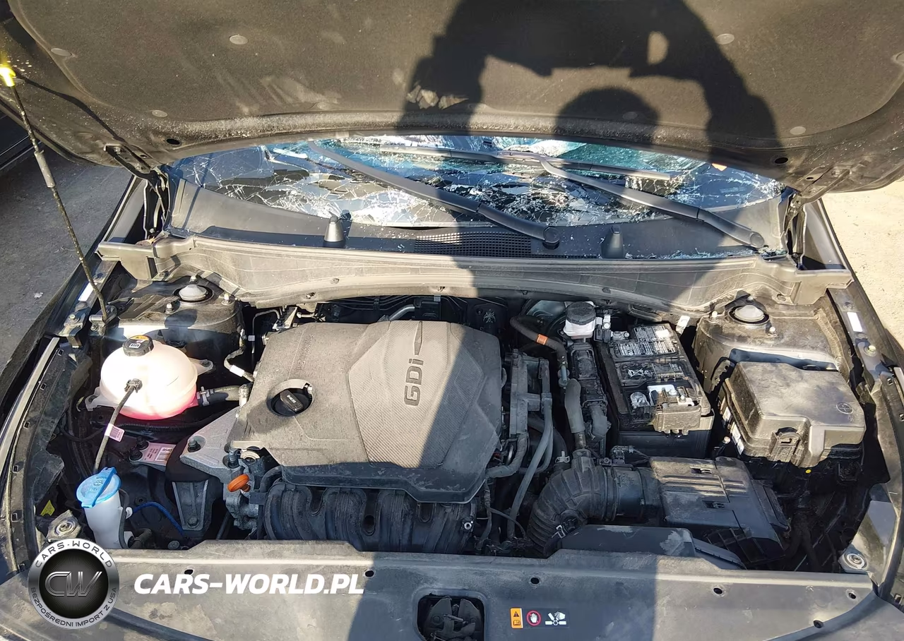 2023 Kia Sportage X-Pro VIN:5XYK7CAF8PG072884 - 10