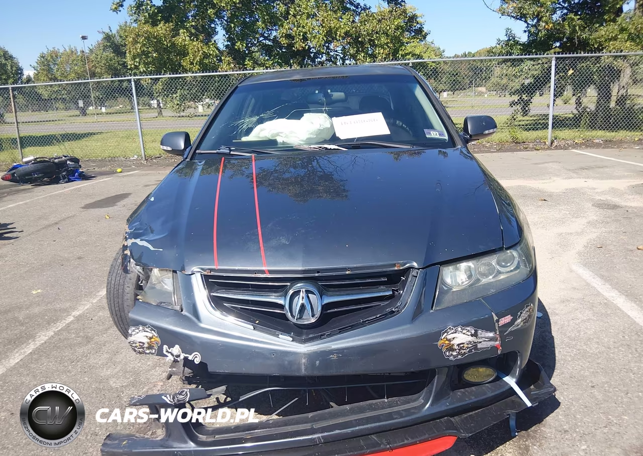 2004 Acura Tsx VIN:JH4CL96814C001196 - 12
