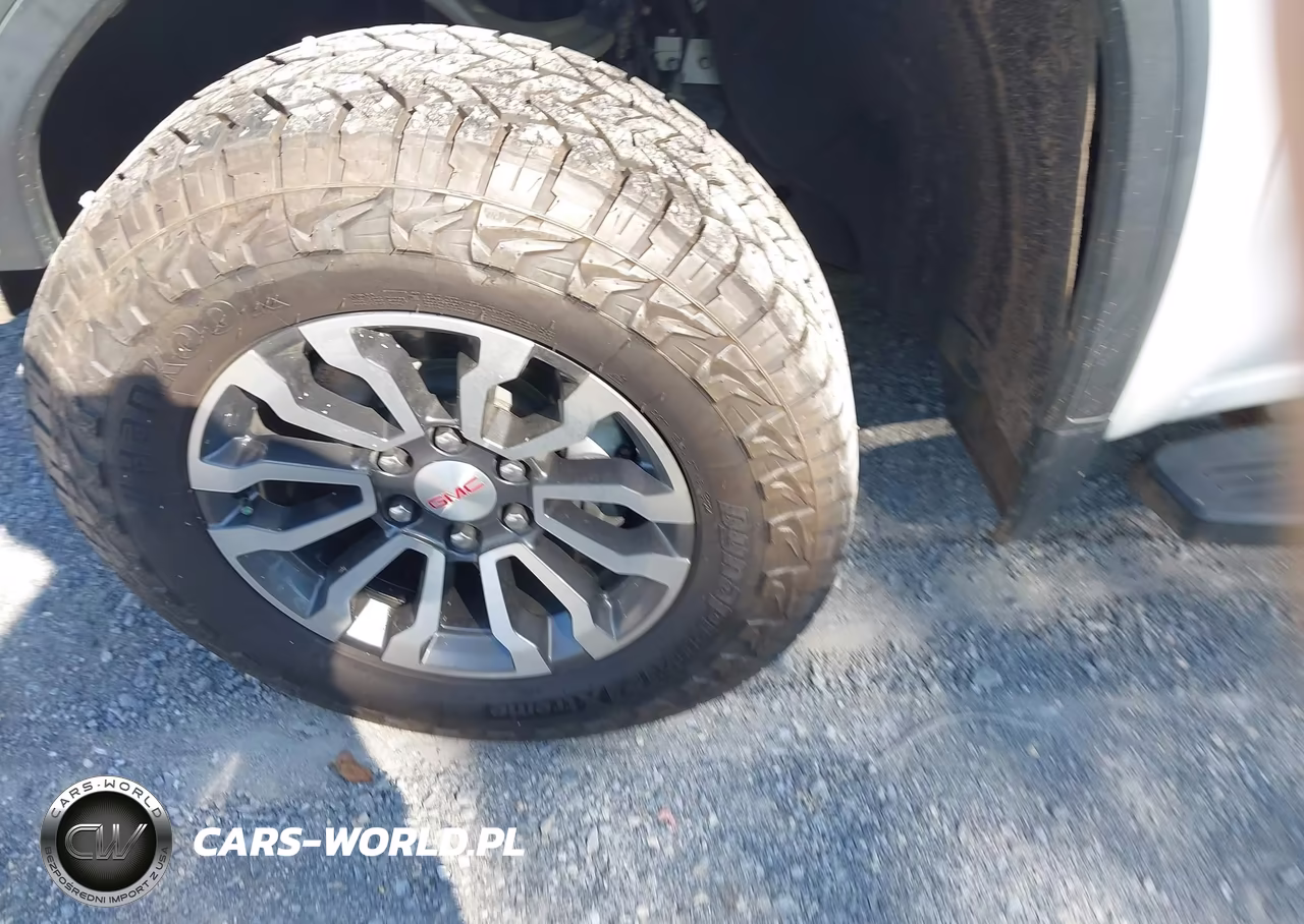 2019 GMC Sierra 1500 At4 VIN:1GTP9EED8KZ145718 - 12