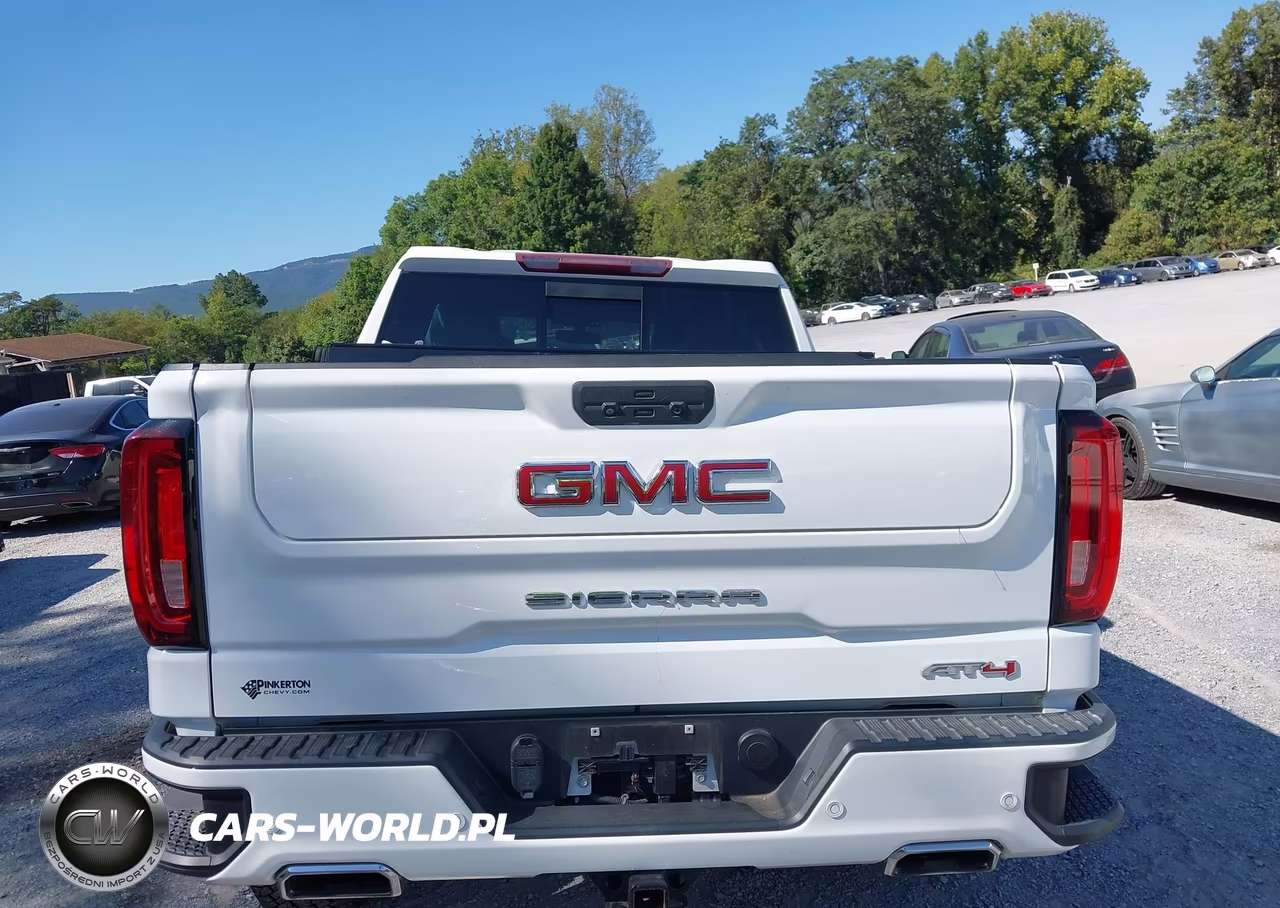 2019 GMC Sierra 1500 At4 VIN:1GTP9EED8KZ145718 - 17