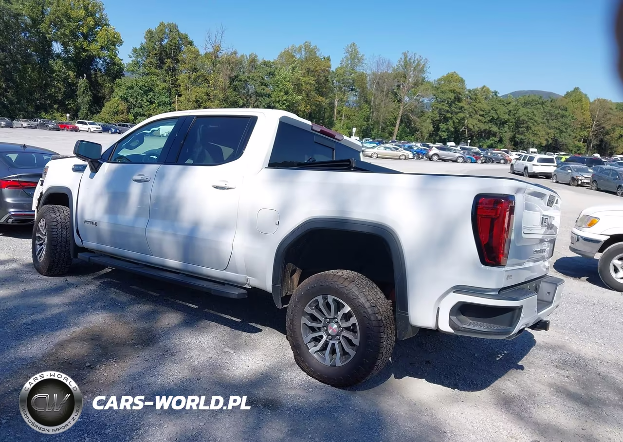 2019 GMC Sierra 1500 At4 VIN:1GTP9EED8KZ145718 - 3