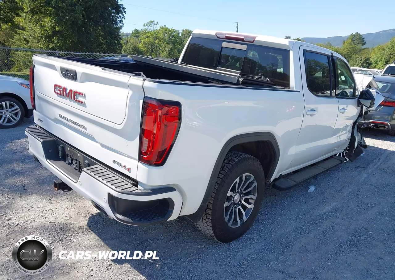 2019 GMC Sierra 1500 At4 VIN:1GTP9EED8KZ145718 - 4