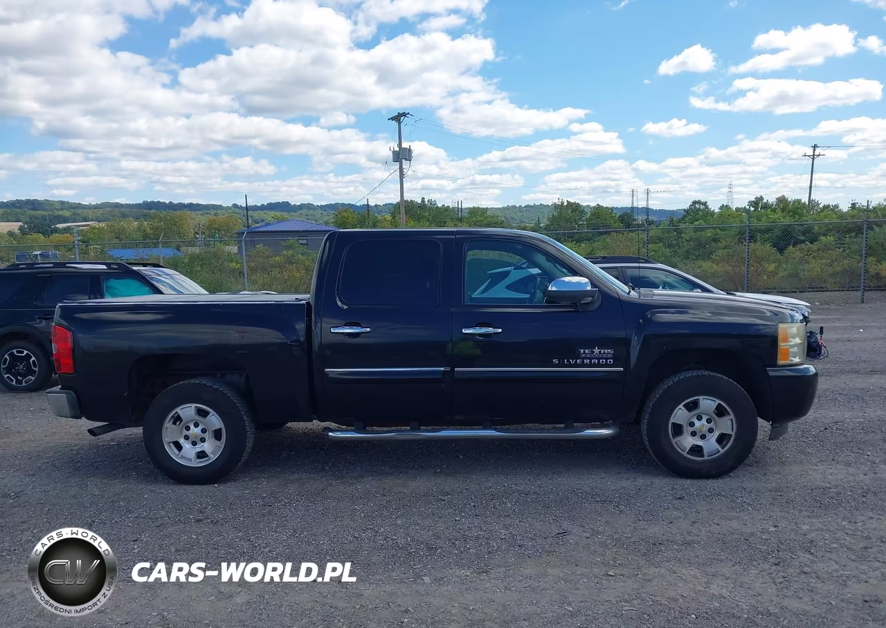 2009 Chevrolet Silverado 1500 Lt VIN:3GCEC23J29G290859 - 13