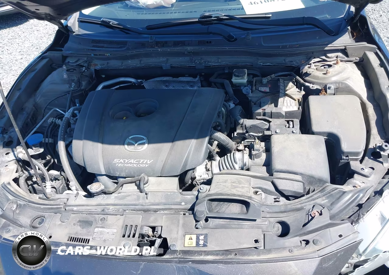 2016 Mazda Mazda3 I Sport VIN:3MZBM1U71GM258641 - 10