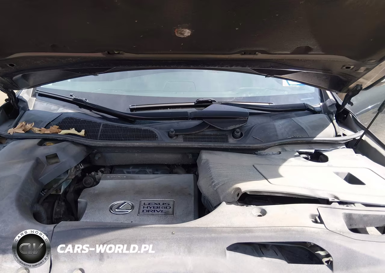 2010 Lexus Rx 450H VIN:JTJZB1BA4A2001779 - 10