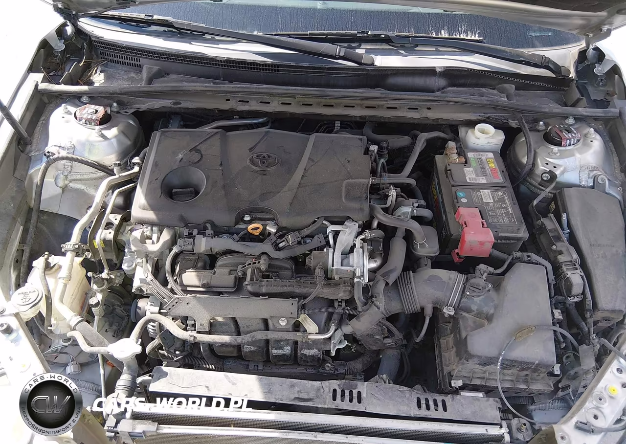 2019 Toyota Camry Le VIN:4T1B11HK9KU244058 - 10