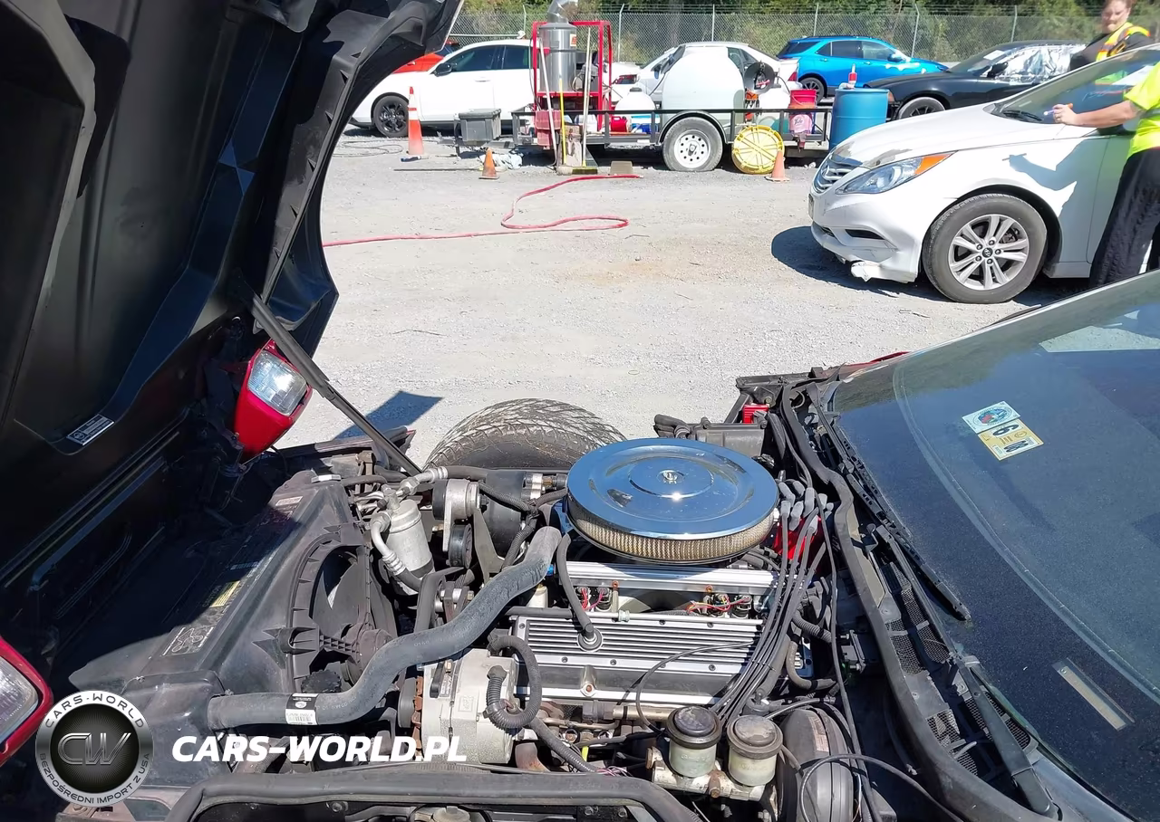 1984 Chevrolet Corvette VIN:1G1AY0781E5122815 - 10