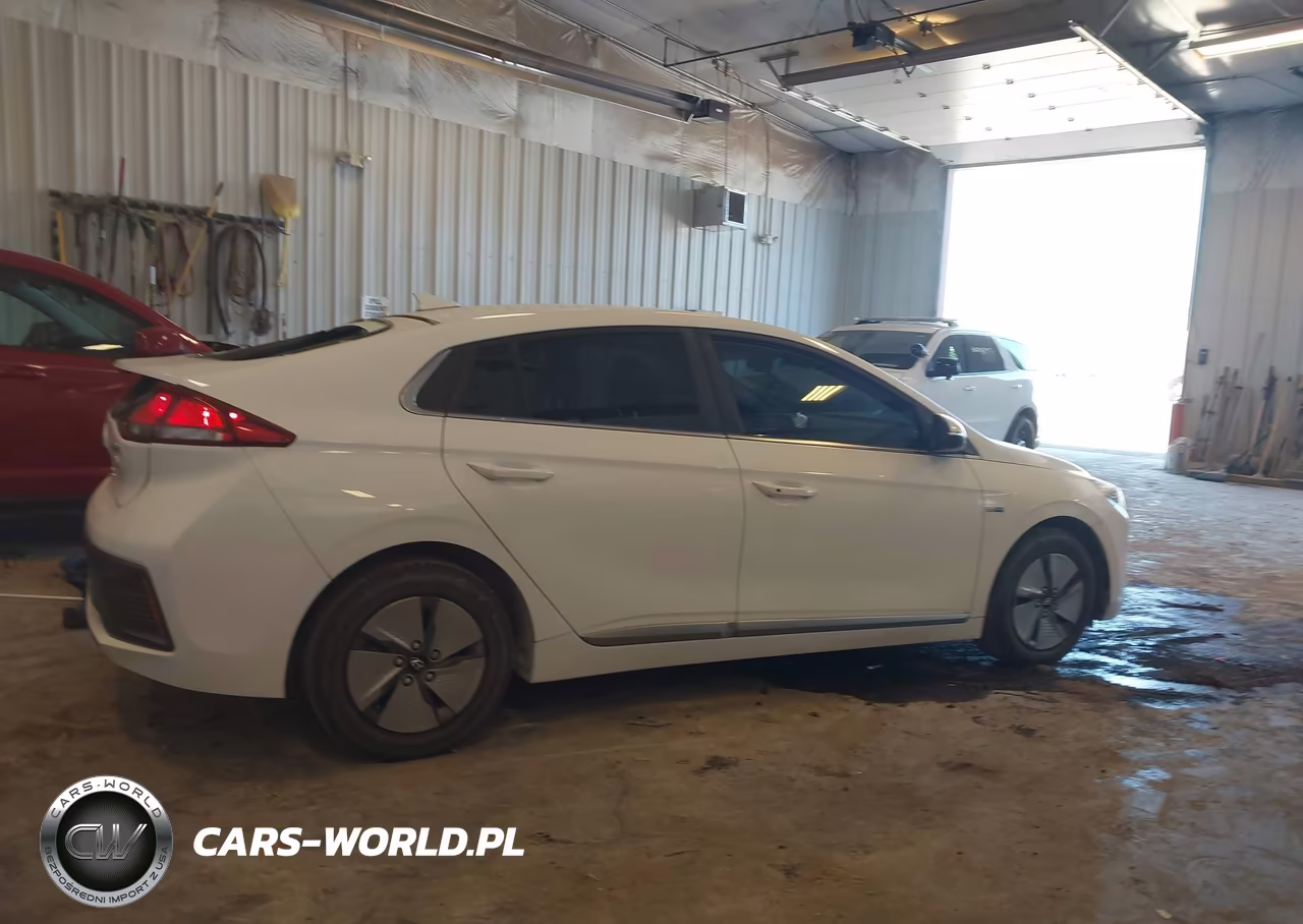 2020 Hyundai Ioniq Hybrid Se VIN:KMHC75LC2LU231180 - 14