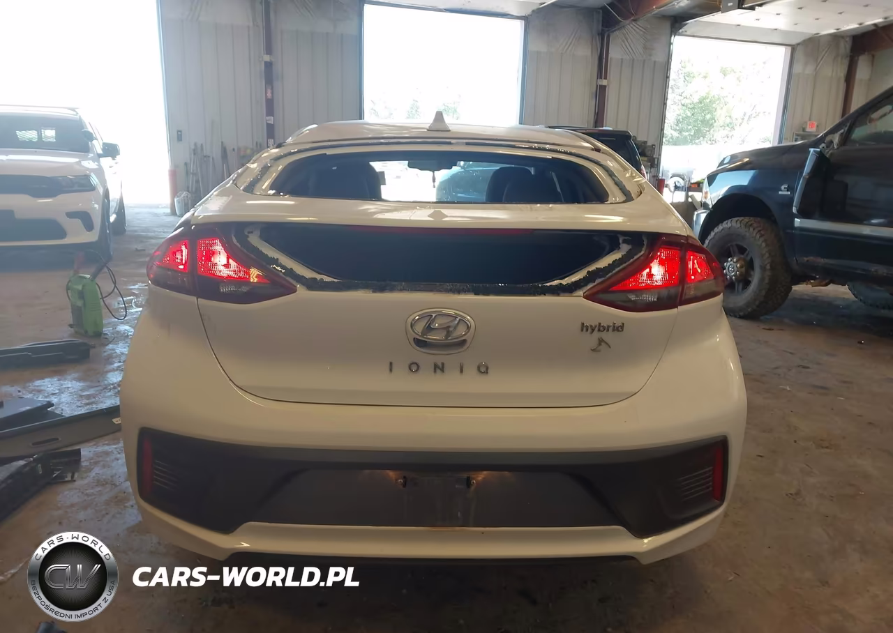2020 Hyundai Ioniq Hybrid Se VIN:KMHC75LC2LU231180 - 17