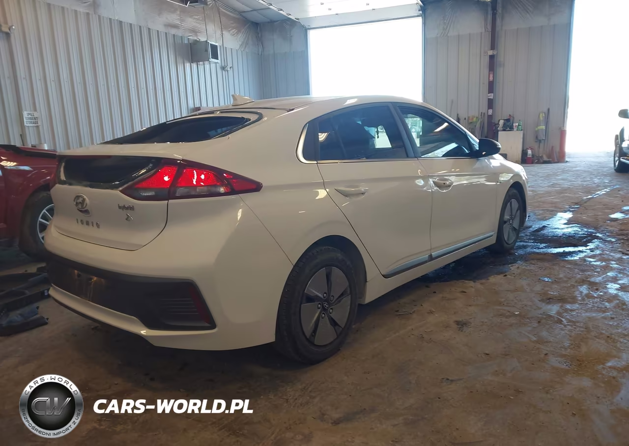 2020 Hyundai Ioniq Hybrid Se VIN:KMHC75LC2LU231180 - 4