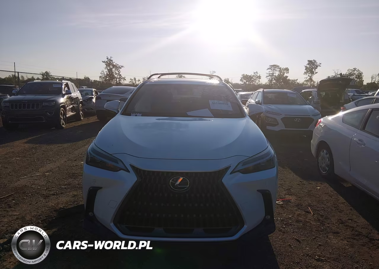 2025 Lexus Nx 350H Premium VIN:JTJGKCEZ1S5027549 - 13