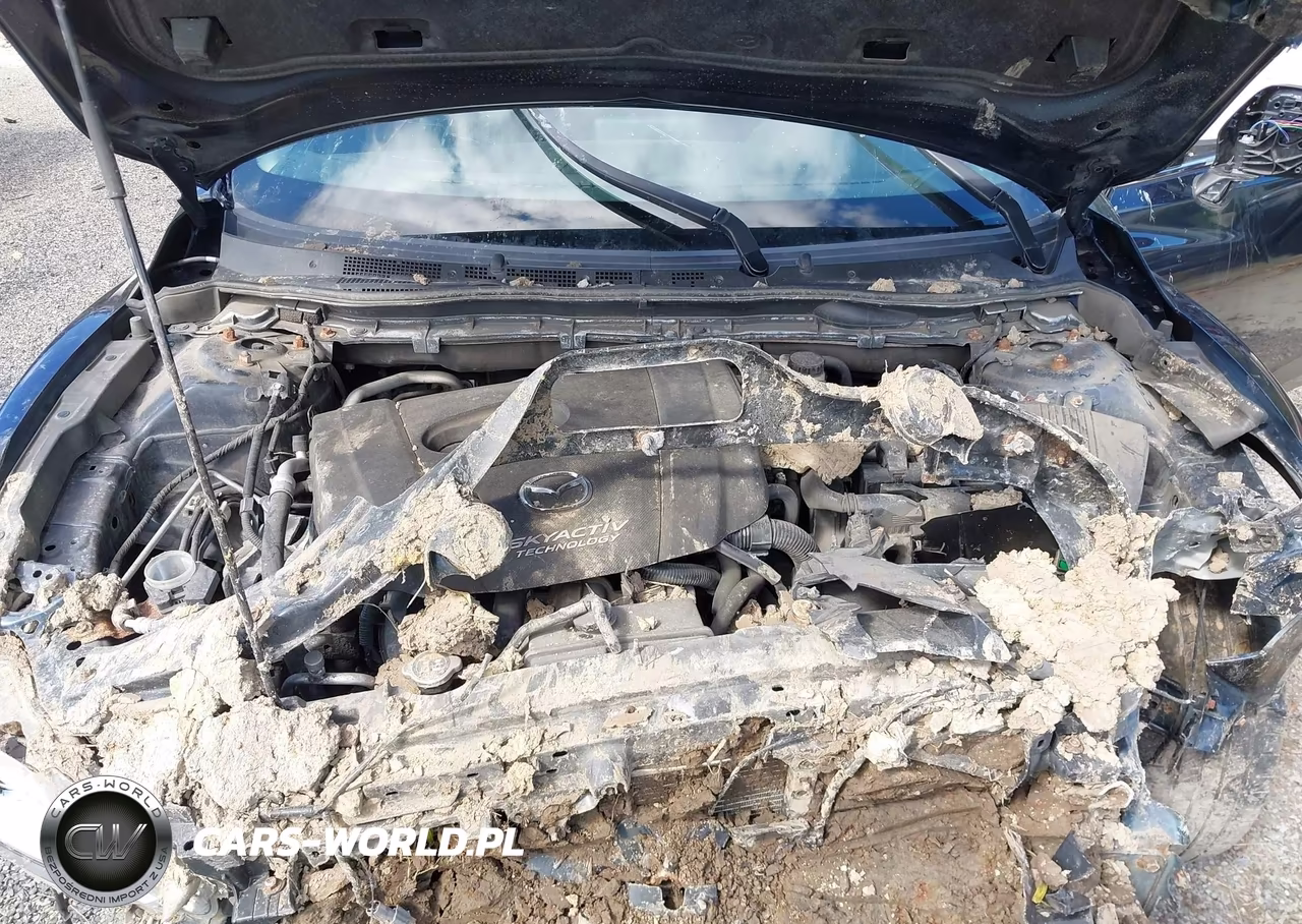 2016 Mazda Mazda6 I Sport VIN:JM1GJ1U55G1445720 - 10