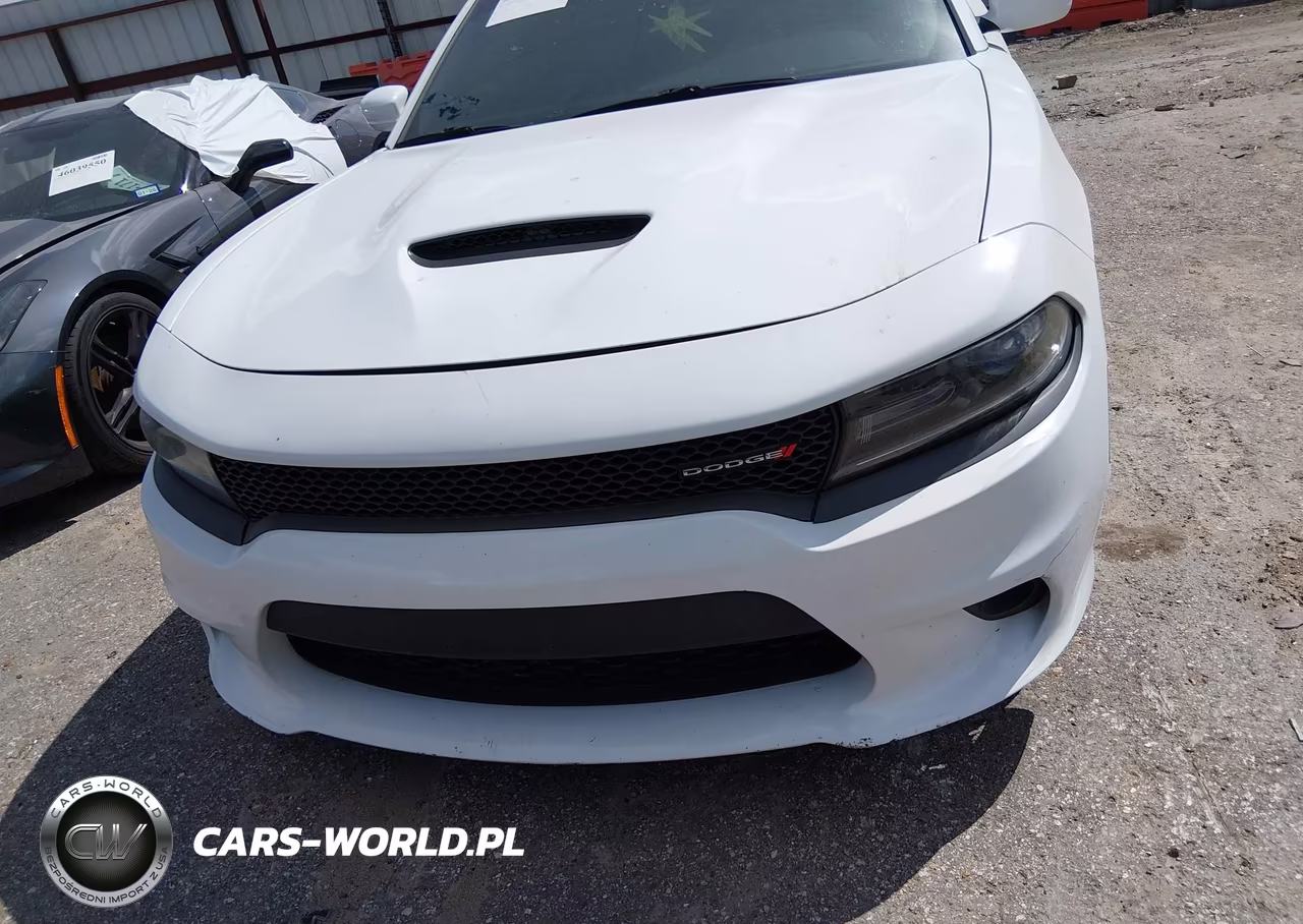 2019 Dodge Charger Gt Rwd VIN:2C3CDXHGXKH710506 - 12