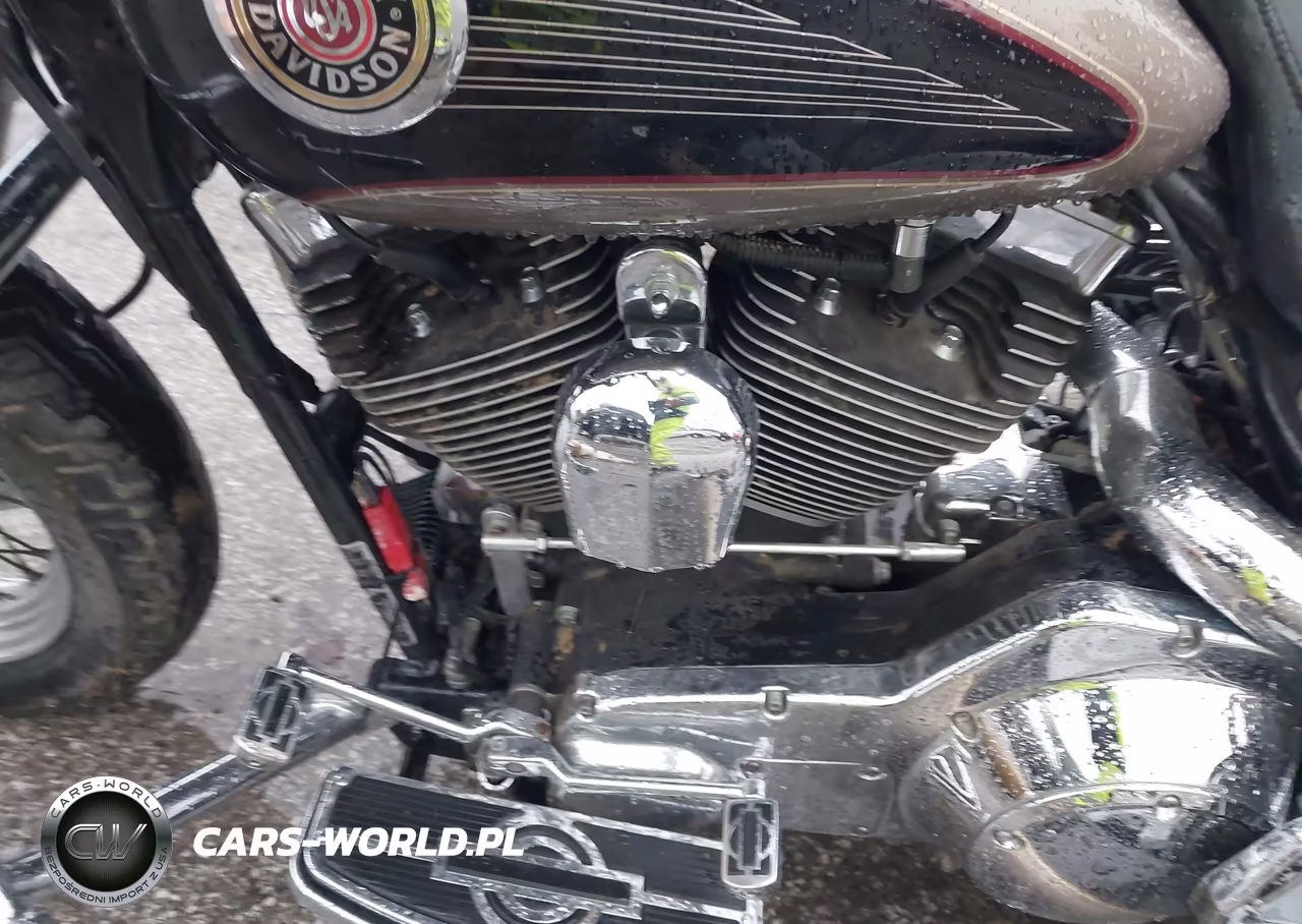 2004 Harley-Davidson Flhtcui VIN:1HD1FCW184Y620377 - 9