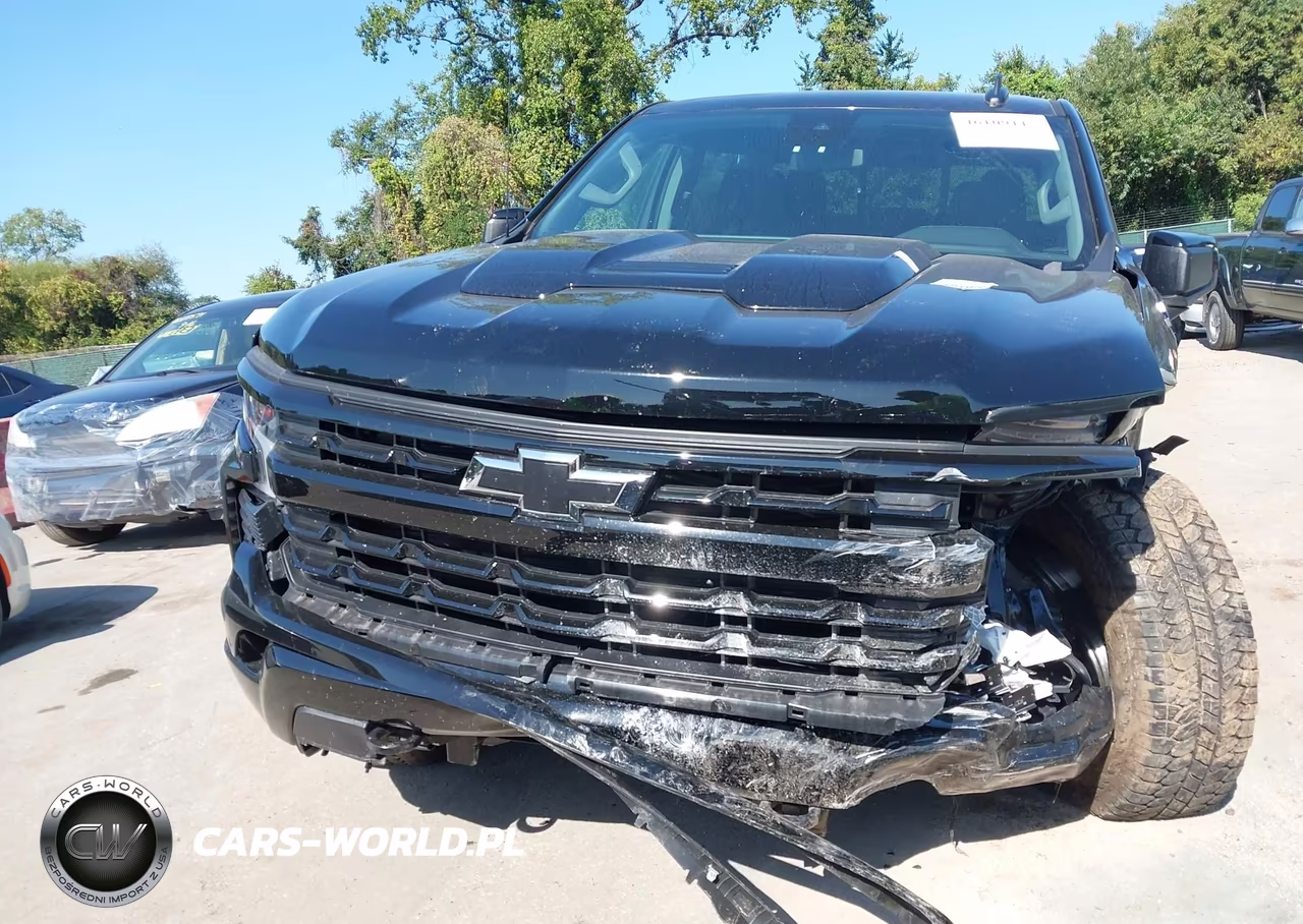 2025 Chevrolet Silverado 1500 4Wd Standard Bed Lt Trail Boss VIN:3GCUKFED8SG105393 - 13