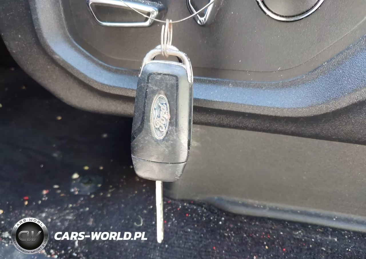 FORD F-150 VIN:1FTEW1CP0HFA21216 - 11